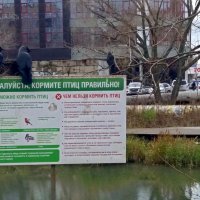 Кормите птиц правильно :: Galina Solovova