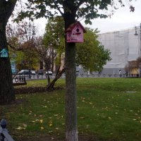 Ново-манежный сквер :: zavitok *