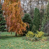 Одна :: Валерий Пославский