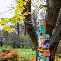 Новостройки :: Валерий Пославский