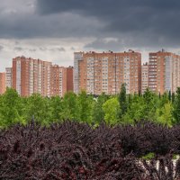 Краснодар! :: Игорь Сикорский Краснодар! :: Игорь Сикорский