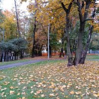 Осень. :: Владимир Драгунский Осень. :: Владимир Драгунский