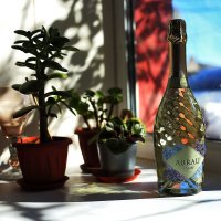 На подоконнике :: Юрий Гайворонскiий На подоконнике :: Юрий Гайворонскiий