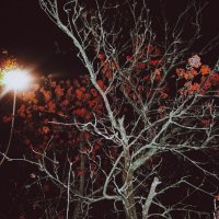 Доброе утро! :: Sergei Vikulov