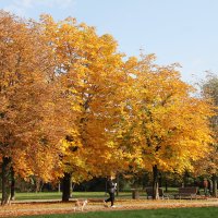АХ, ЭТА ОСЕНЬ ЗОЛОТАЯ.... :: Валентина 