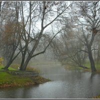 Ноябрьский туман :: Aleksandr Gal