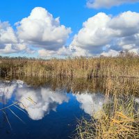 Облака в реке. :: Ольга 