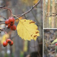 капельки :: Лера капельки :: Лера