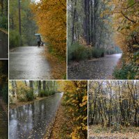 осенний дождик :: Лера 