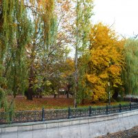 Природа  Крыма :: Валентин Семчишин