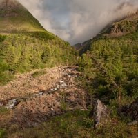 Горный ручей :: Сергей Герасимов