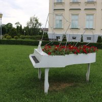 Рояль в кустах :: Ольга Рояль в кустах :: Ольга