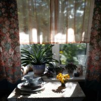 *** :: Валентина Береснева