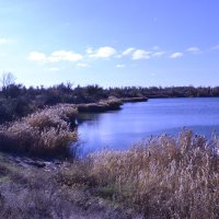 8888 :: Виктор 