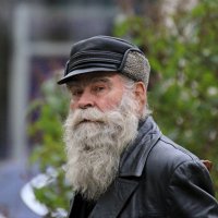 Седина :: Владимир59 Седина :: Владимир59