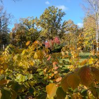 *** :: Геннадий Порохов