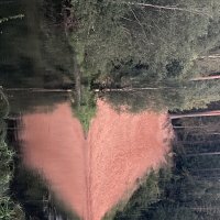 Сердце родной земли :: Ольга Савельева Сердце родной земли :: Ольга Савельева