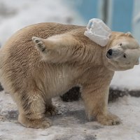 Кай :: Михаил Измайлов