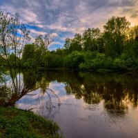 Майский вечер у реки. :: Юрий кот