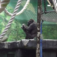 За работой... :: Freddy 97