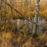 без названия :: fogmeadowww m