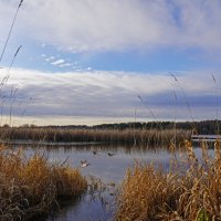 Середина осени :: Сергей Ц