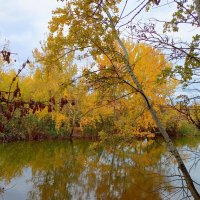 В ростовском экопарке Первая миля :: Нина Бутко