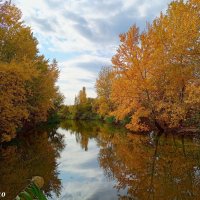 В ростовском экопарке Первая миля :: Нина Бутко