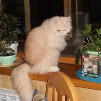 Мой дом :: Венера Чуйкова Мой дом :: Венера Чуйкова