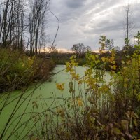 Перед сном... :: Николай Гирш