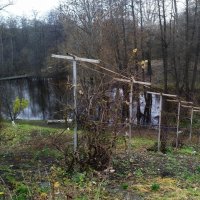 Осень... :: Игорь Шевердин