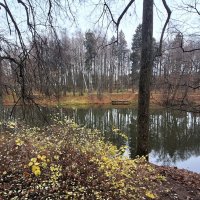 Грустный ноябрьский пейзаж :: Наталья 