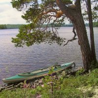 Моя ласточка :: Andy 