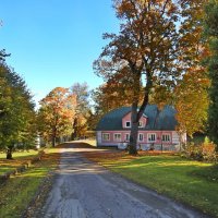 наша осень :: ИННА ПОРОХОВА