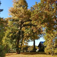 наша осень :: ИННА ПОРОХОВА