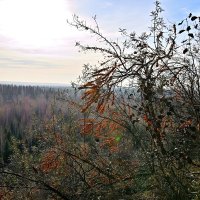 - :: Владимир Мигонькин