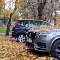 Осень. :: Владимир Драгунский Осень. :: Владимир Драгунский