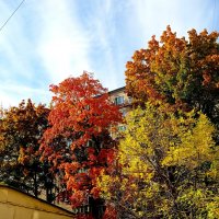 Осень. :: Владимир Драгунский Осень. :: Владимир Драгунский