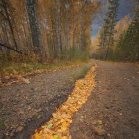 * :: Александр Иванов * :: Александр Иванов