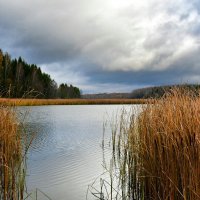 Клёвое место. :: Милешкин Владимир Алексеевич Клёвое место. :: Милешкин Владимир Алексеевич
