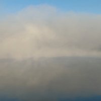 Живой туман :: Наталия 