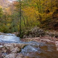 Адыгея.Водопады Руфагбо. :: ирина )))
