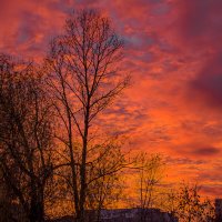 Догорал закат.... :: Sergey (Apg)