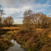 Осень не сдаётся 12 :: Андрей Дворников Осень не сдаётся 12 :: Андрей Дворников