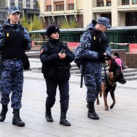 10 ноября — День сотрудника органов внутренних дел Российской Федерации :: Татьяна Помогалова