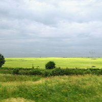 Поле вблизи села Марьинское :: Александр Ильчевский 