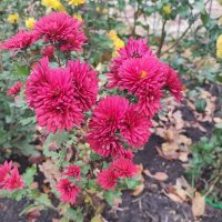 ,,, :: Сергей Тимоновский ,,, :: Сергей Тимоновский