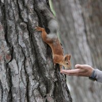 Доверие. :: Любовь 