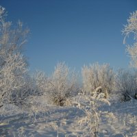 Солнечный день :: Anna Ivanova