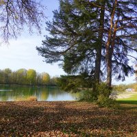 "Ноябрь уж на дворе..." :: Галина 